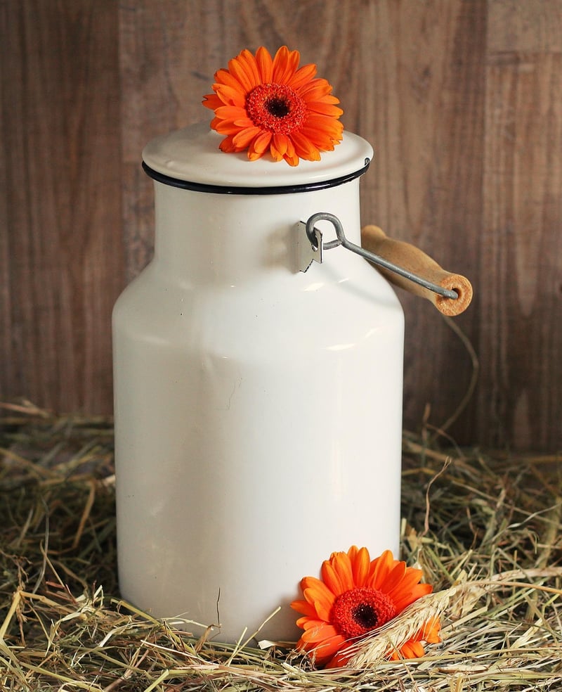 Tin Can Planters